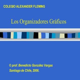 Organizadores GráFicos