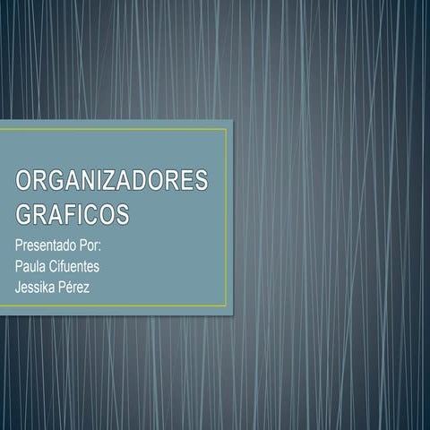 Organizadores graficos