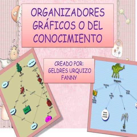 ORGANIZADOR GRAFICO