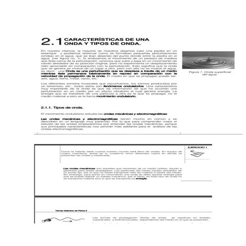 Organizador grafico sobre las ondas