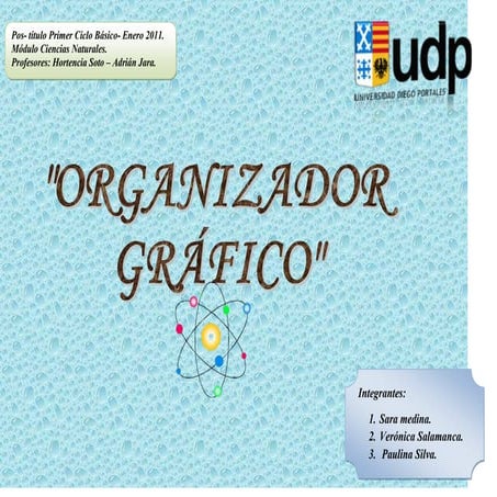 Organizador gráfico