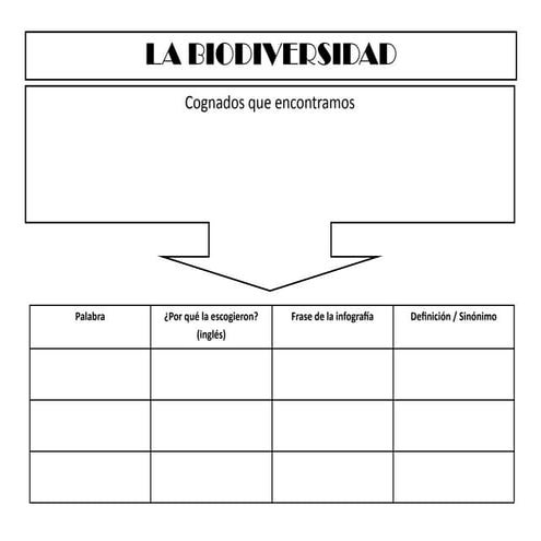 Organizador vocabulario;  Biodiversidad