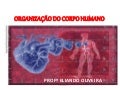 Organização do corpo humano