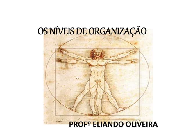 Organização do corpo humano 2017
