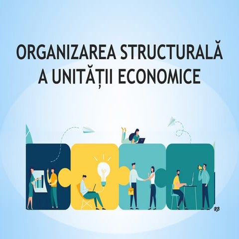 Organizarea structurala a unitatii economice