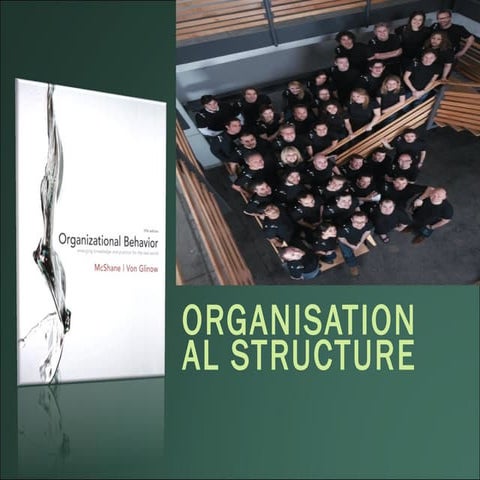 Organizational structure in Organization