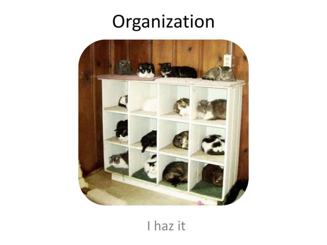 Organization