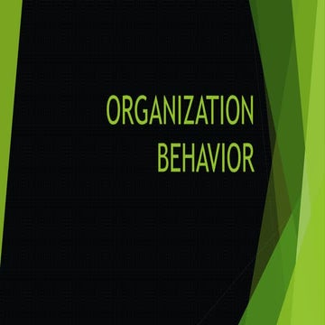 Organizational Behavior