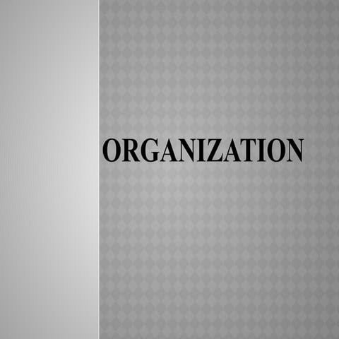 powerpoint presentation on ORGANIZATION.pptx