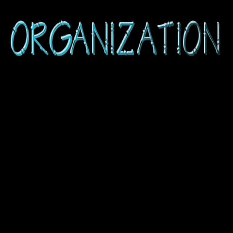 Organization  Topic Sentences