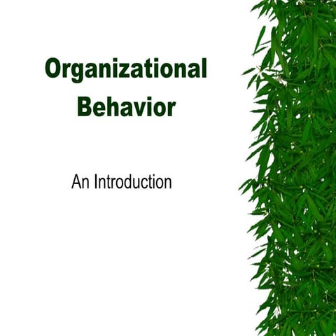 Organizational Behavior