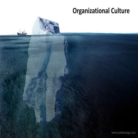 Organizational culture