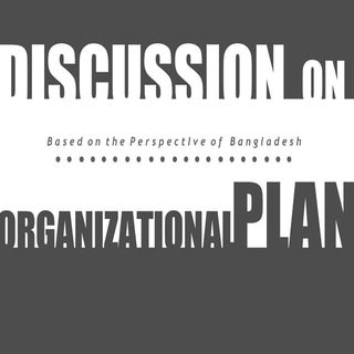 Organizational Plan