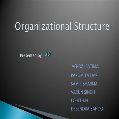 Organizational Structure