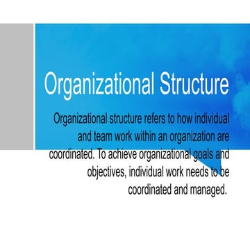 Organizational-Structure. report power point