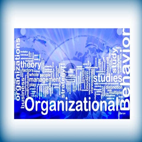 Organizational behavior