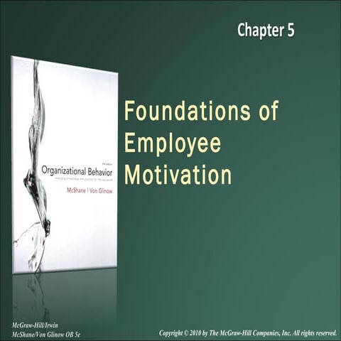 Organizational behavior chapter 5 | PPT