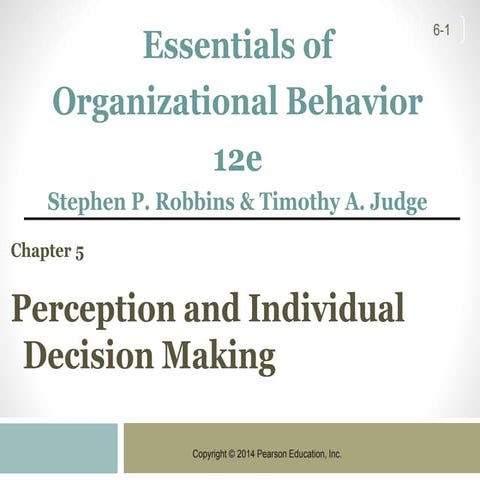 Organizational Behavior Chapter 5 Perception and Individual Decision Making