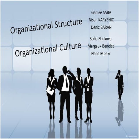 Organizational Structure and Culture