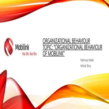 Mobilink - Organizational behaviour 