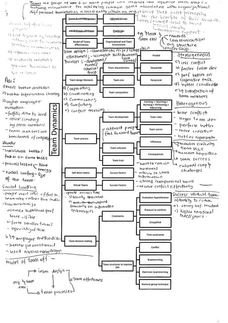Organizational Behaviour - Team Dynamics