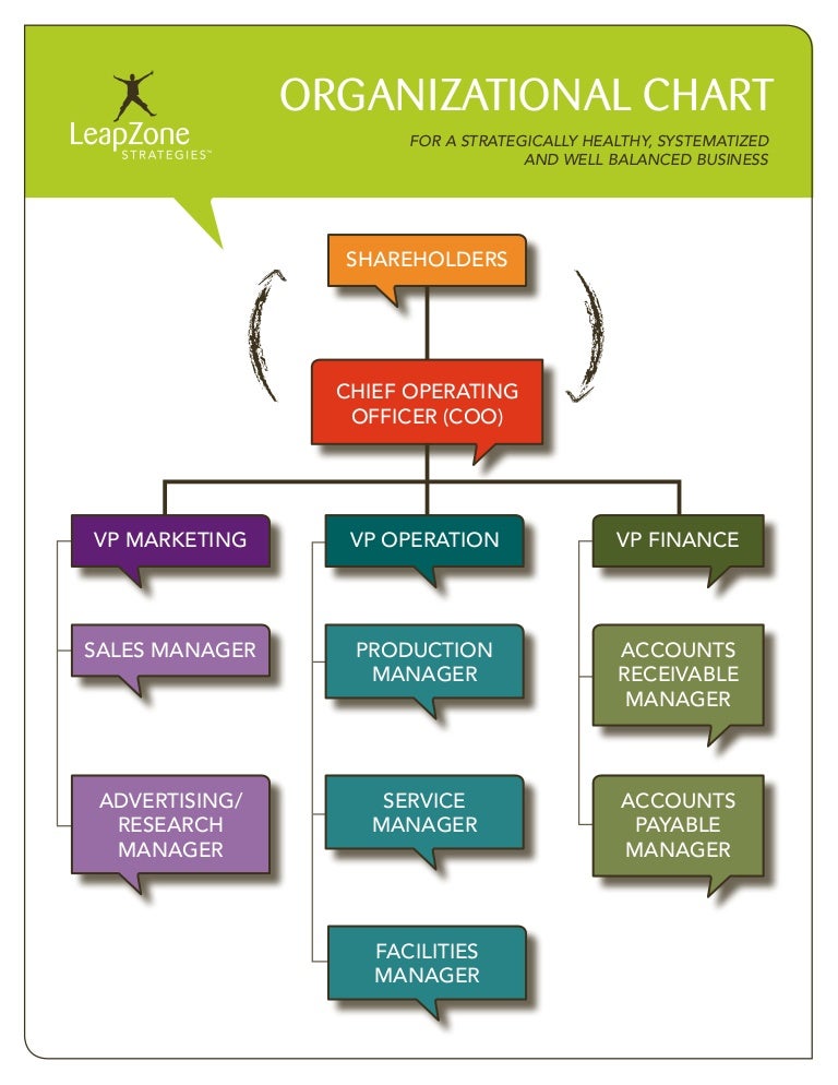 Coo Organizational Chart