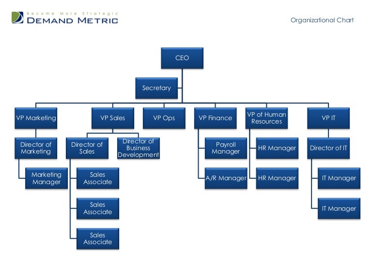 Marketing Department Structure Chart