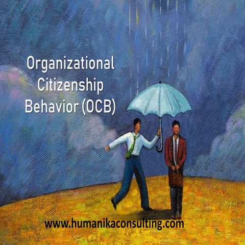 Organizational Citizenship Behavior (ocb)