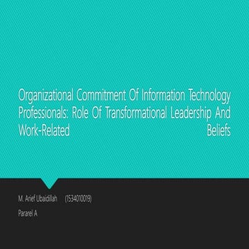 Organizational commitment of information technology professionals