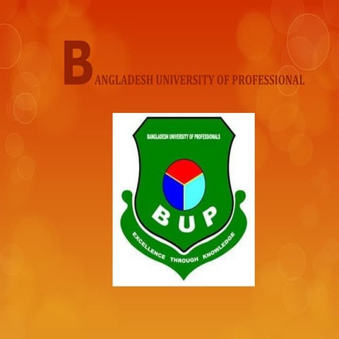 Organizational conflict