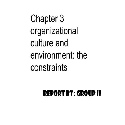Organizational culture and environment the constraints