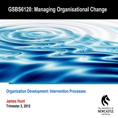 Organization Development - Intervention Processes