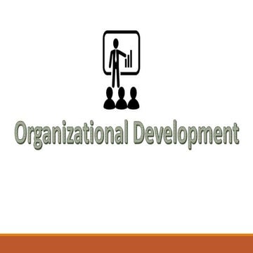 Organizational Development Report