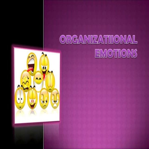 Organizational emotions