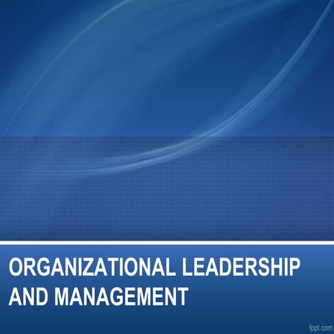 Organizational leadership and management