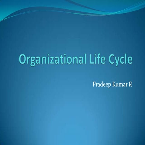 Organizational life cycle