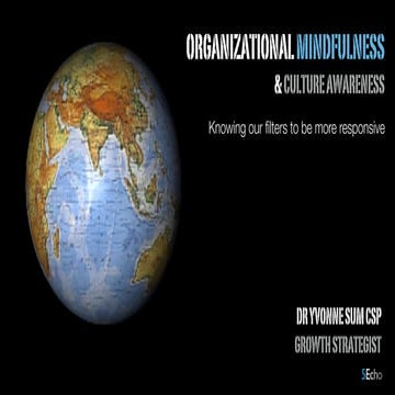 Organizational mindfulness & cultural awareness 2017