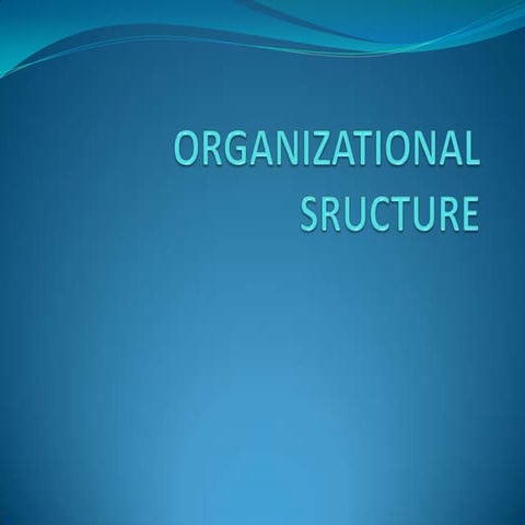 Organizational sructure
