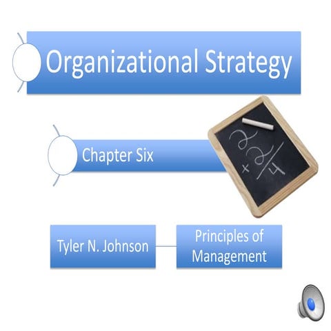 Organizational strategy 