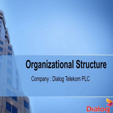 Organizational Structure