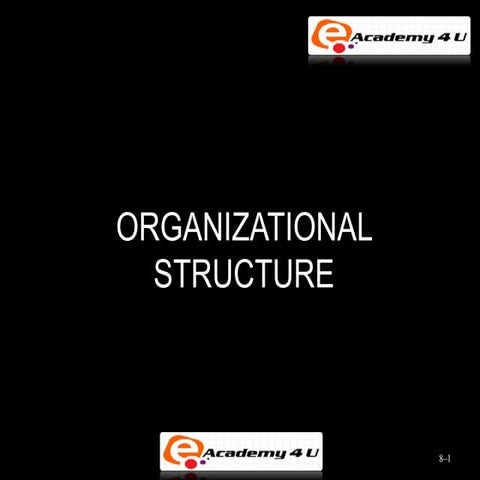 Organizational structure