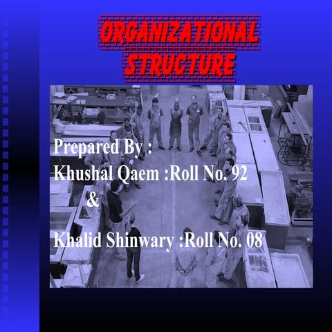 Organizational structure