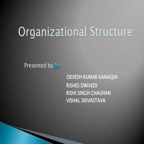 Organizational structure By Vishal Srivastava
