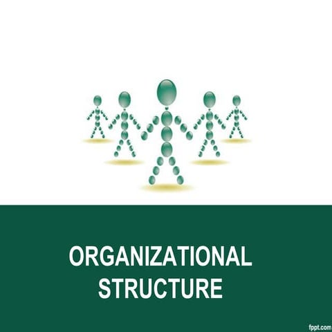 Organizational Structure