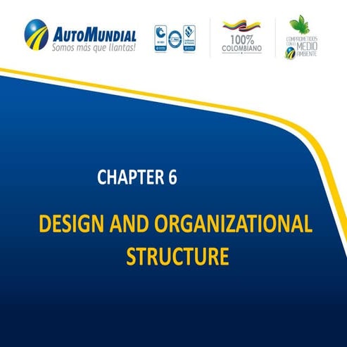 Organizational structure automundial 01