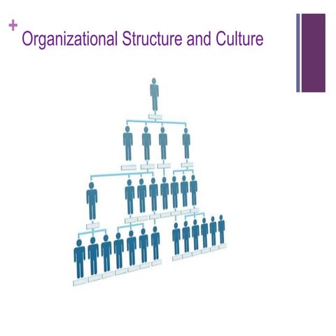 Organizational Structure&amp;Culture