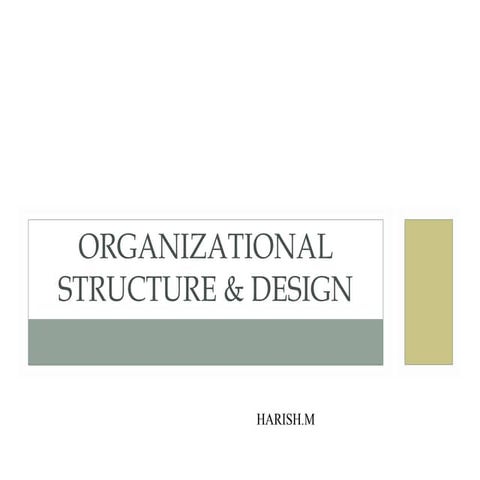 Organizational structure design