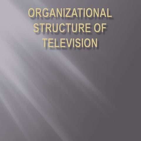 Organizational Structure of Television