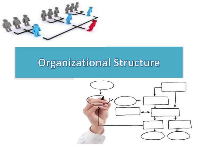 Organizational structure ppt