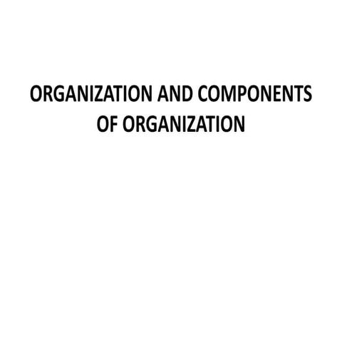 Organization and components of organization